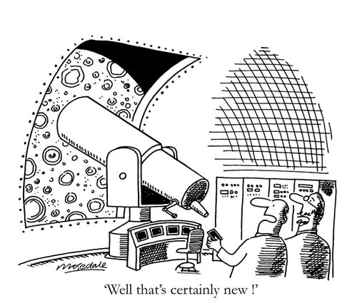 'Well that's certainly new!'
