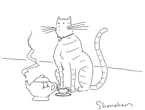 Cat brewing bird tea.