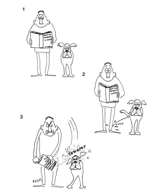Behavior Problems in Dogs
