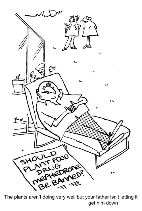 'The plants aren't doing very well but your father isn't letting it get him down.'