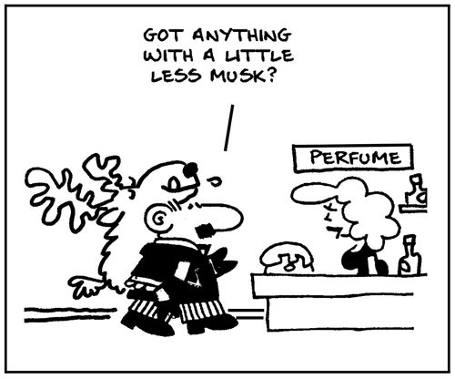'Got anything with a little less musk?'