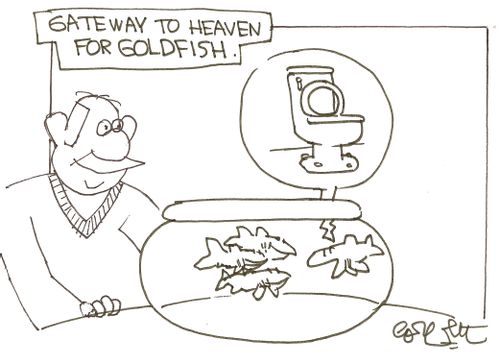 Gateway to Heaven for goldfish.