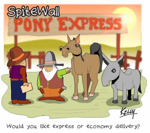 'Would you like express or economy delivery?'