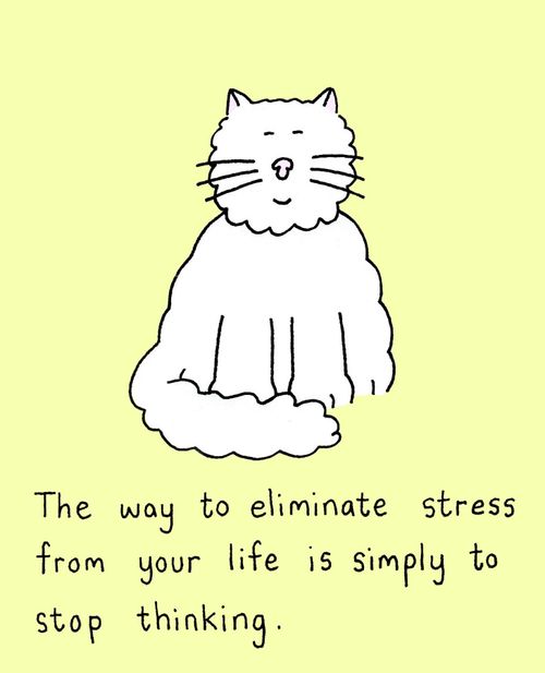 The way to elininate stress from your life is simply to stop thinking.