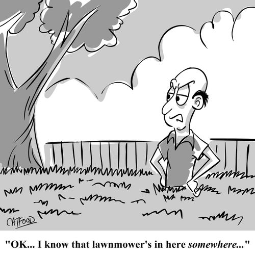 'OK... I know that lawnmower's in here somewhere...'