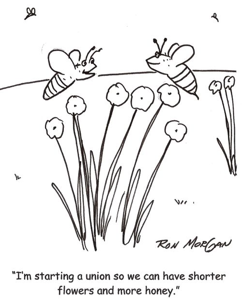 'I'm starting a union so we can have shorter flowers and more honey.'