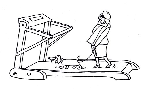 Woman walks her dog on a running machine.