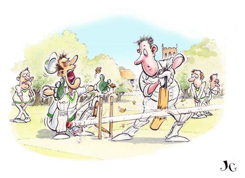 Cricket Accidents.