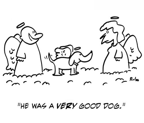 'He was a very good dog.'