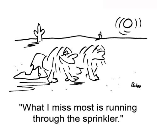 'What I miss most is running through the sprinkler.'
