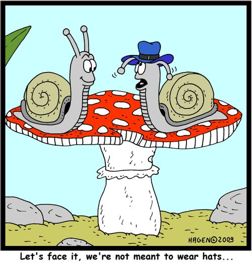 'Let's face it, we're not meant to wear hats...'