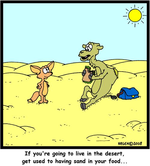 'If you're going to live in the desert, get used to having sand in your food...'