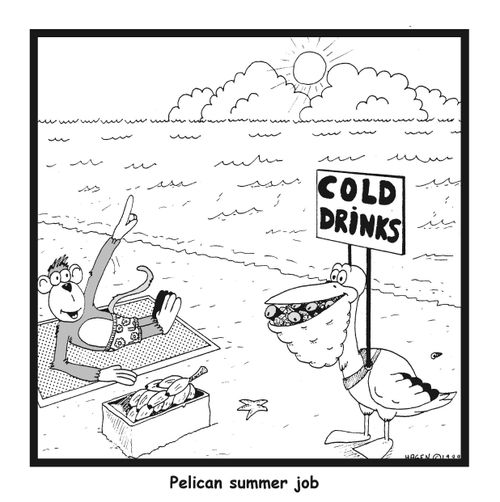 Pelican Summer Jobs