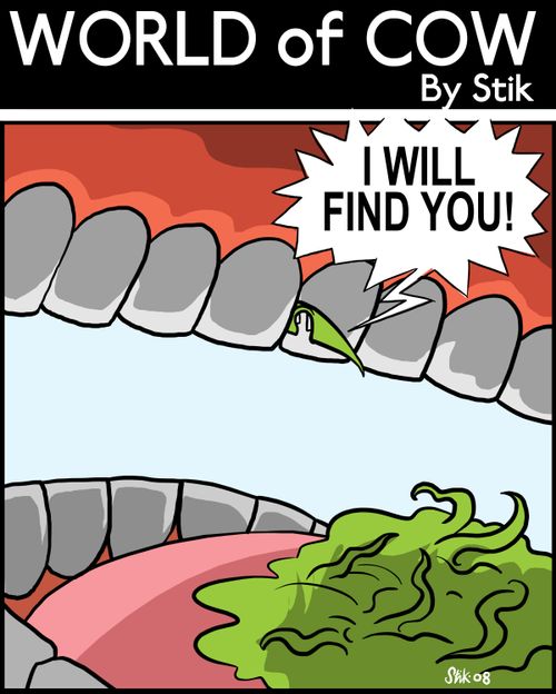 I will find you!