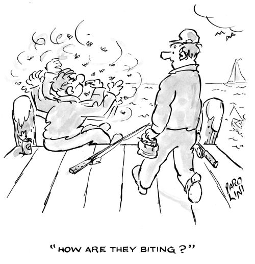 'How are they biting?'