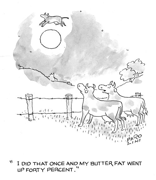 'I did that once and my butter fat went up forty percent.'