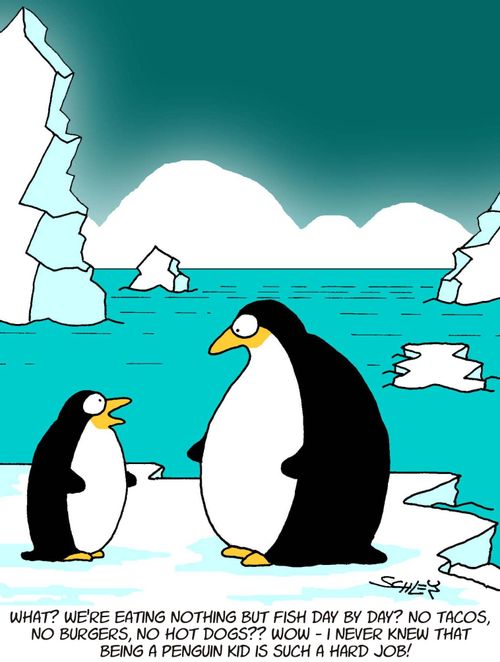 'What? We're eating nothing but fish day by day? No tacos, no burgers, no hot dogs?? Wow - I never knew that being a Penguin kid is such a hard job!'