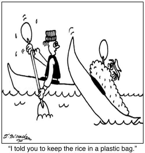 'I told you to keep the rice in a plastic bag.'