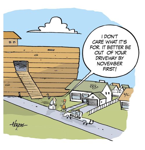 Noah the neighbor