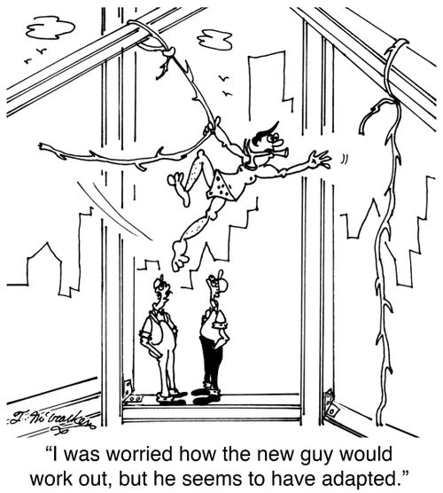 'I was worried how the new guy would work out, but he seems to have adapted.'