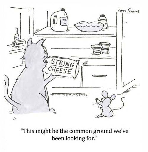 'This might be the common ground we've been looking for.'