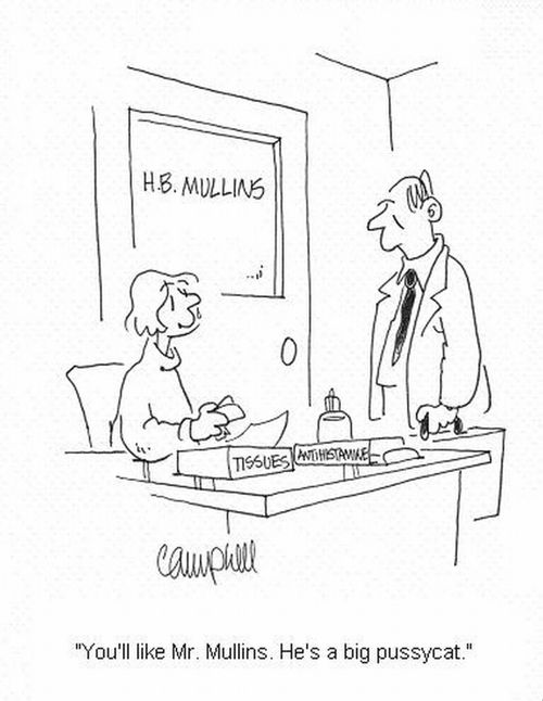 'You'll like Mr. Mullins. He's a big pussycat.'