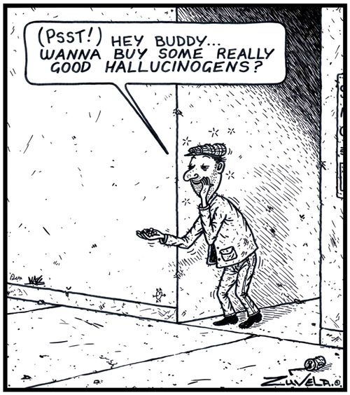 Druggie: '( Psst! ) Hey buddy...wanna buy some really good Halluncinogens?'