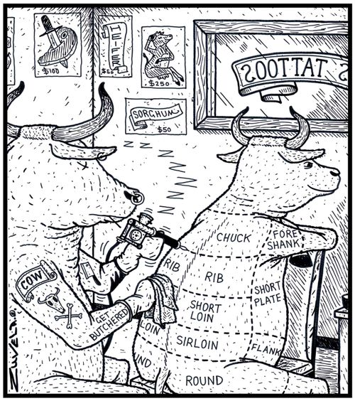 A Bull is getting a Tattoo of a Butcher's Beef cutting chart.