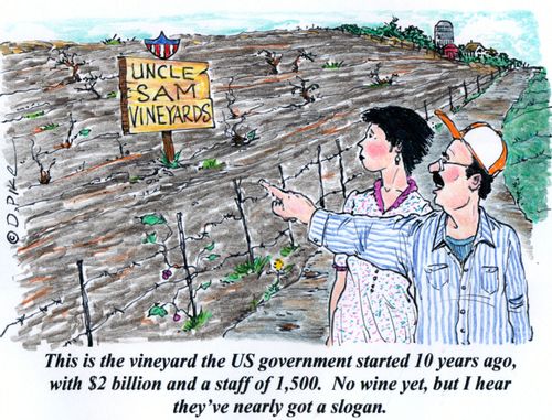 'This is the vineyard the US government started 10 years ago, with $2 billion and a staff of 1,500. No wine yet, but I hear they've nearly got a slogan.'