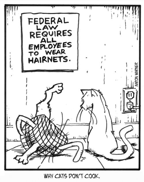 Why cats don't cook. (sign on wall reads: Federal Law requires all employees to wear hairnets)