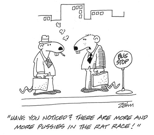 'Have you noticed? There are more and more pussies in the rat race!'