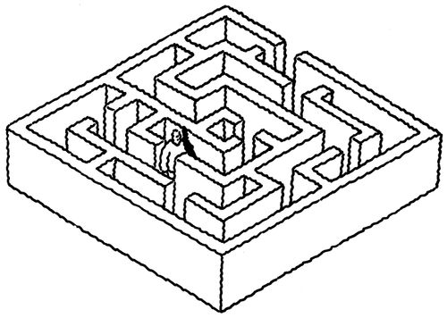 Maze.
