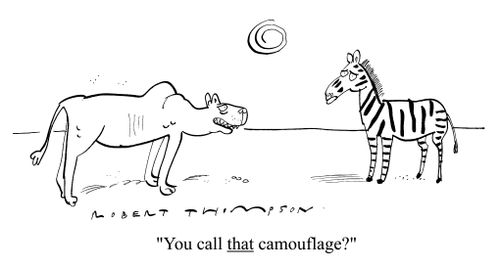 "You call that camouflage?!"