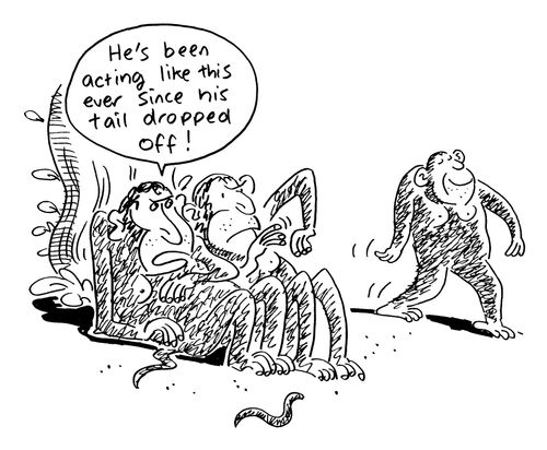 Evolution: "He's been acting like this since his tail dropped off!"