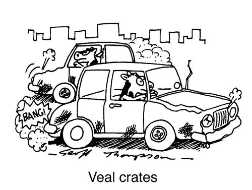 Veal Crates