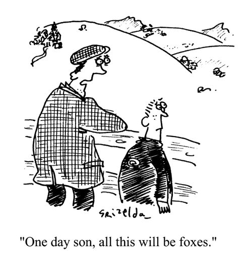'One day son, this will all be foxes.'