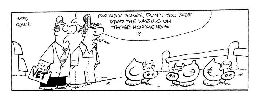 'Farmer Jones, don't you ever read the labels on those hormones.'