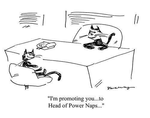 'I'm promoting you...to Head of Power Naps...'