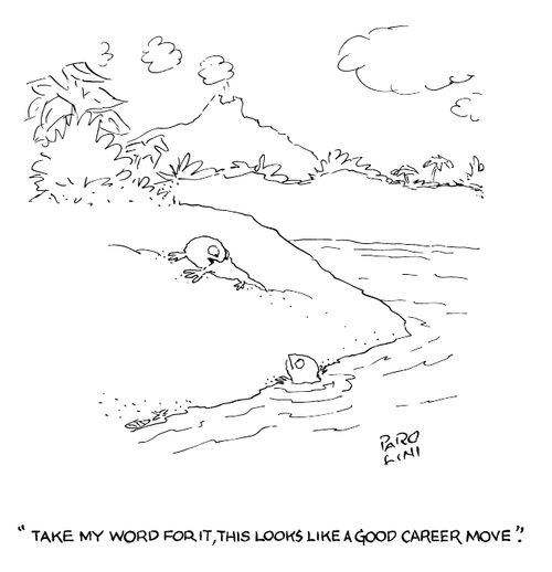 'Take my word for it, this looks like a good career move.'