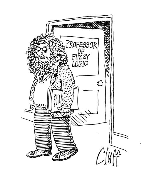 Professor of Fuzzy Logic.