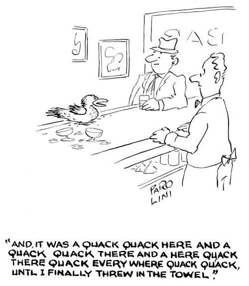 'And, it was a quack quack here and a quack quack there and here a quack there a quack everywhere a quack quack, until finally I threw in the towel.'