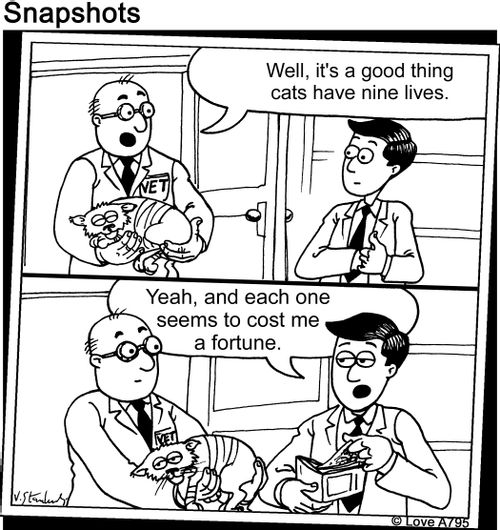 "Well, it's a good thing cats game nine lives."/"Yeah, and each one seems to cost me a fortune."
