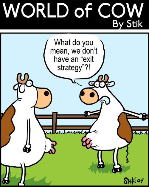 "What do you mean, we don't have an 'exit strategy'?!"