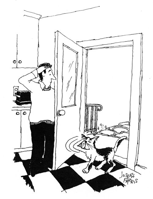Man salutes as cat walks in.