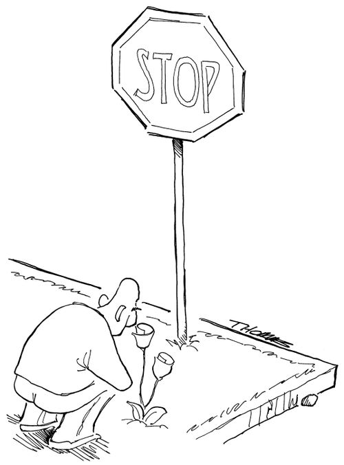 Man in front of Stop sign smelling roses.