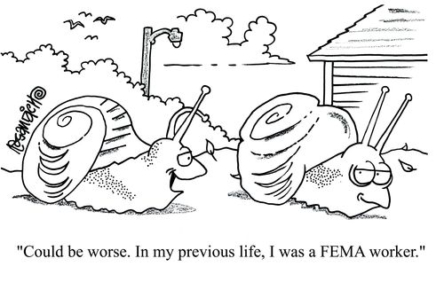 'Could be worse. In my previous life I was a FEMA worker'