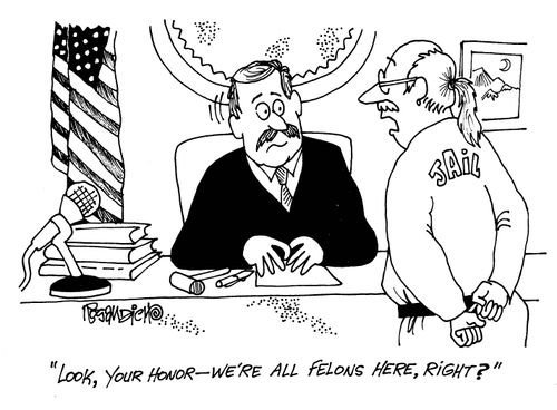 'Look your honor - we're all felons here, right?'