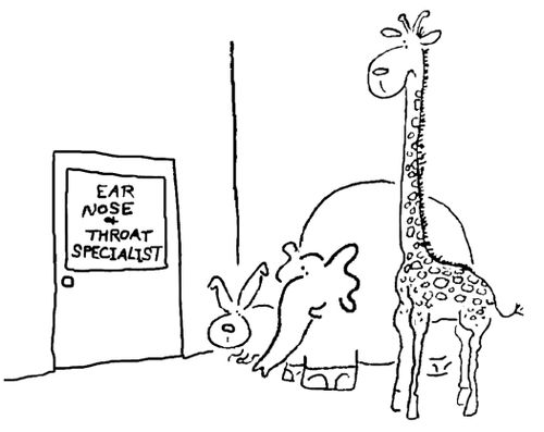 Ear, Nose and Throat Specialist.