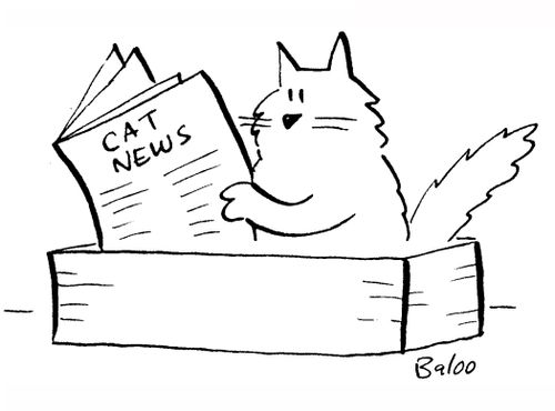 Cat News.
