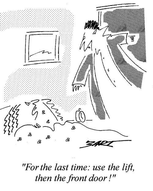 "For the last time, use the lift, then the front door!"
